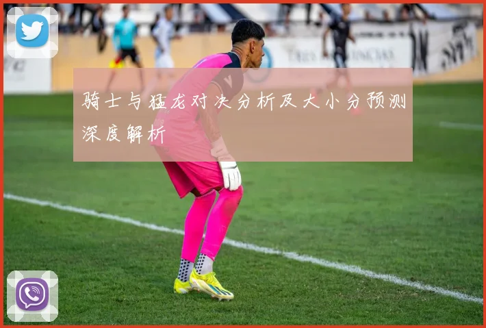 骑士与猛龙对决分析及大小分预测深度解析