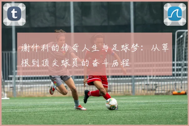 谢什科的传奇人生与足球梦：从草根到顶尖球员的奋斗历程