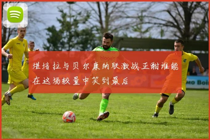 堪培拉与贝尔康纳联激战正酣谁能在这场较量中笑到最后