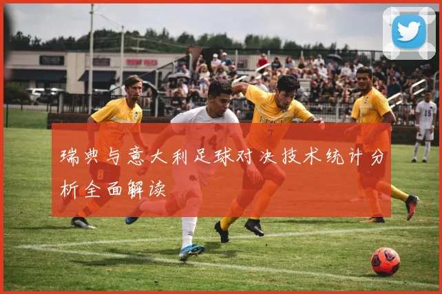 瑞典与意大利足球对决技术统计分析全面解读