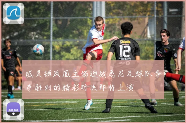 威灵顿凤凰主场迎战悉尼足球队争夺胜利的精彩对决即将上演